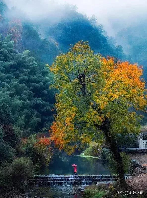 金华古镇旅游景点大全,金华秀丽山水旅游攻略