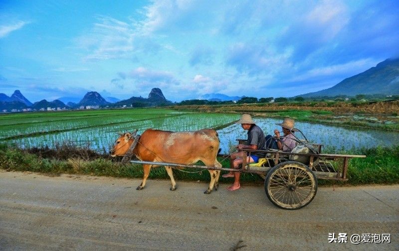 阳春田园风景视频,阳春春湾镇风景视频
