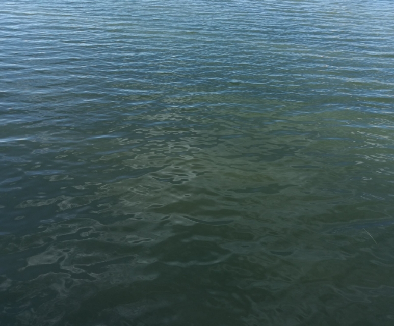 印象喀什噶尔,印象新疆喀什味道