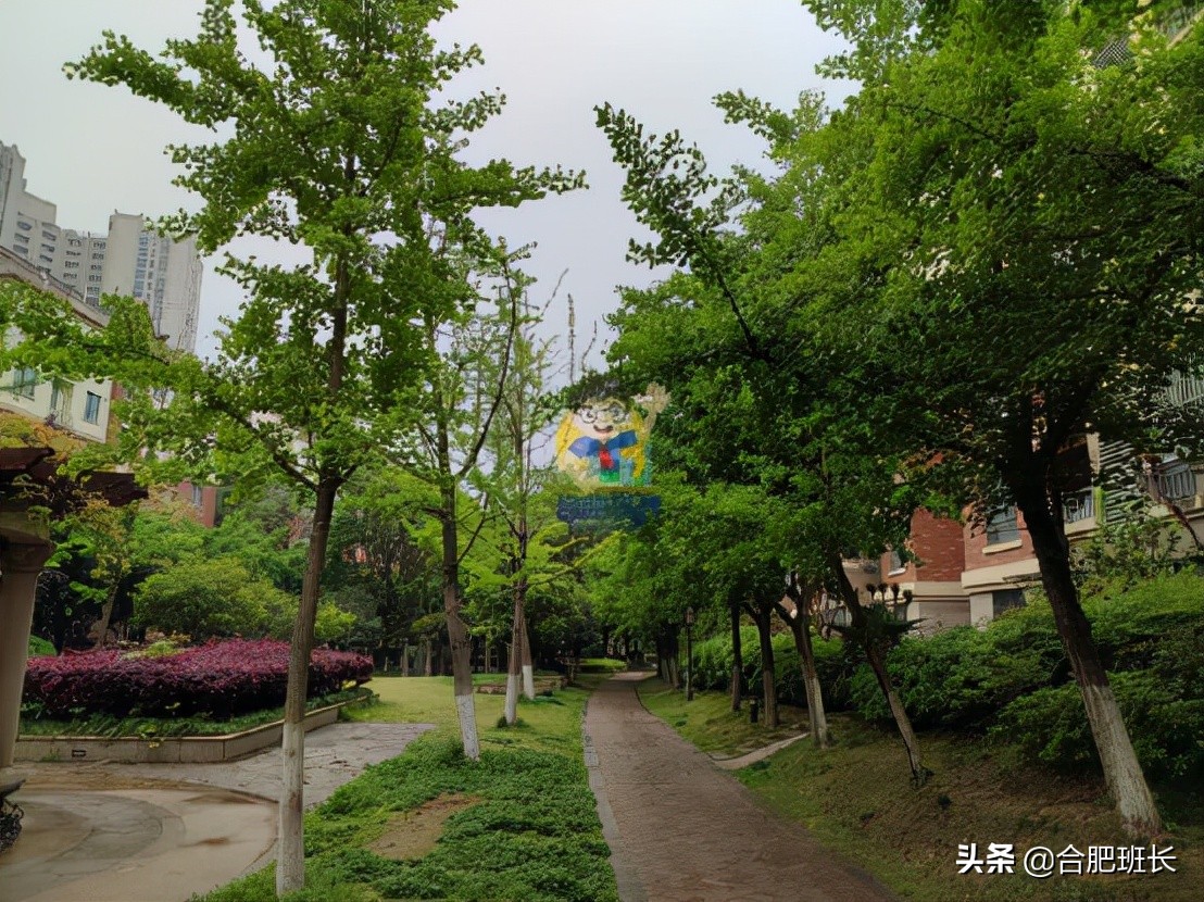 被经开区产证包围的肥西楼盘,实探绿化不错的长安萨尔斯堡