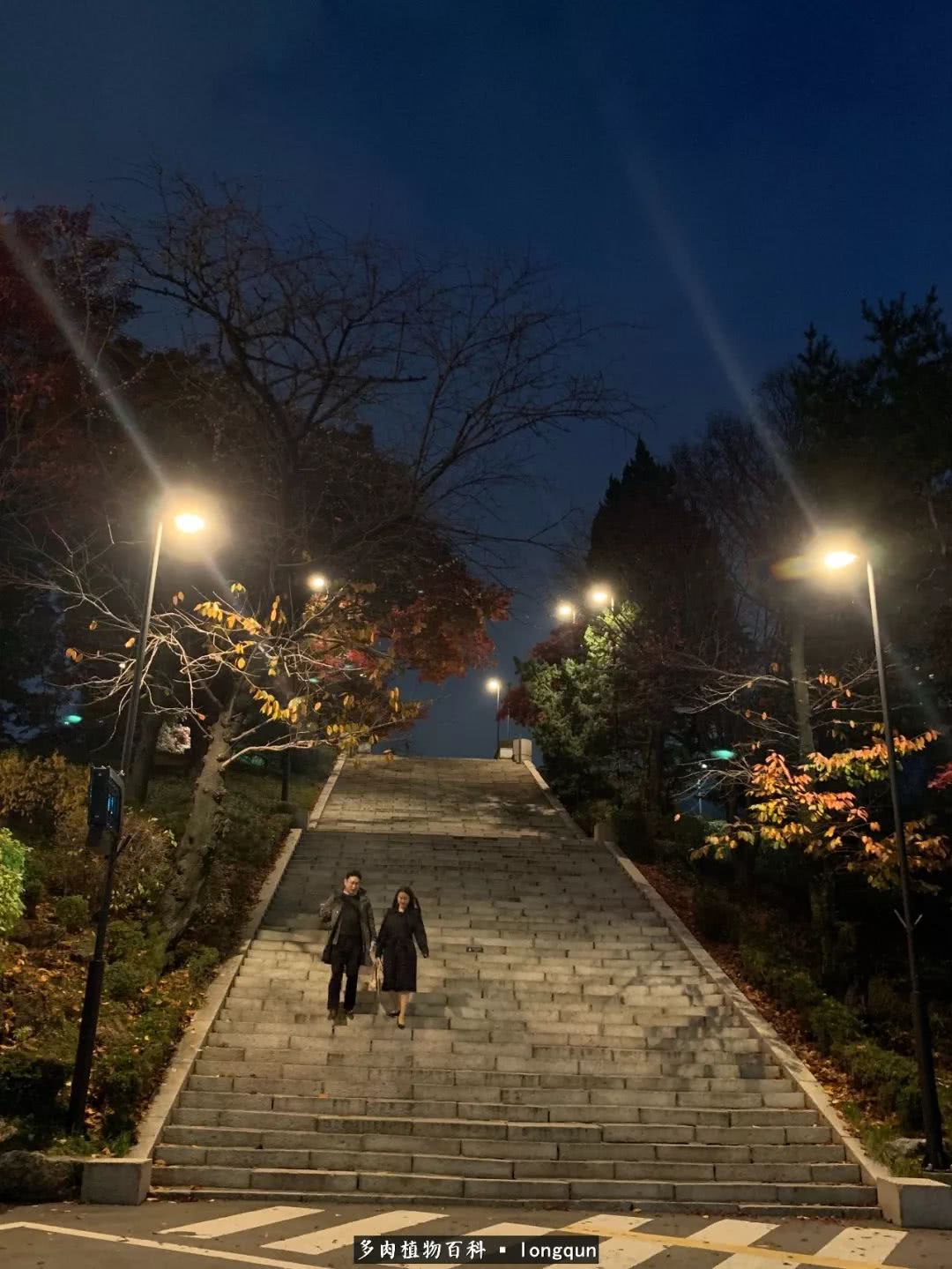 探访韩国肉锥大棚,记一次走访纪录片