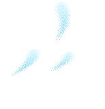 金山大金山岛开发,金山沙滩填海项目