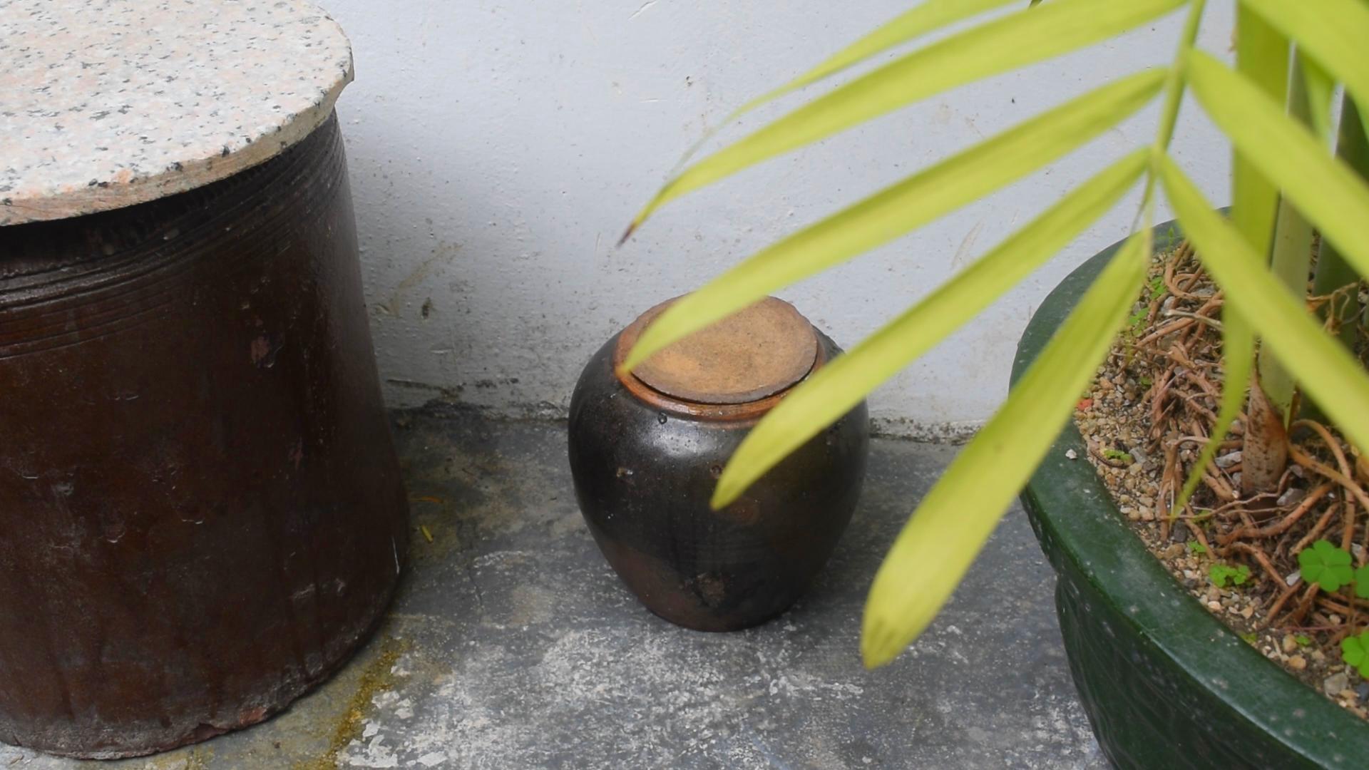 家庭自制腌萝卜一次40斤不够吃,怎么样在家自制腌萝卜