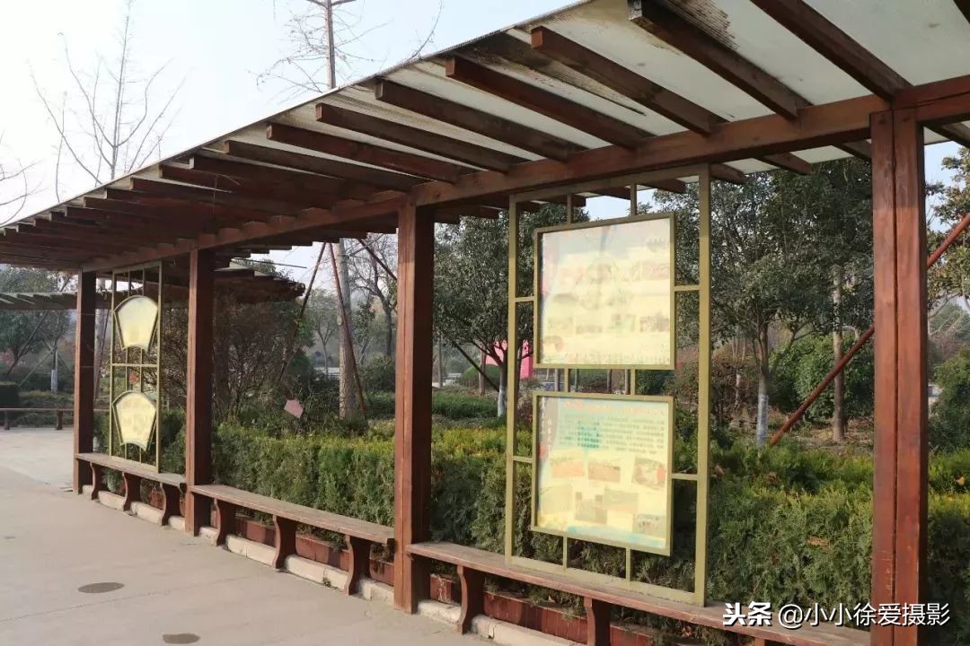 青口中心小学校,闽侯青口中心小学在哪儿