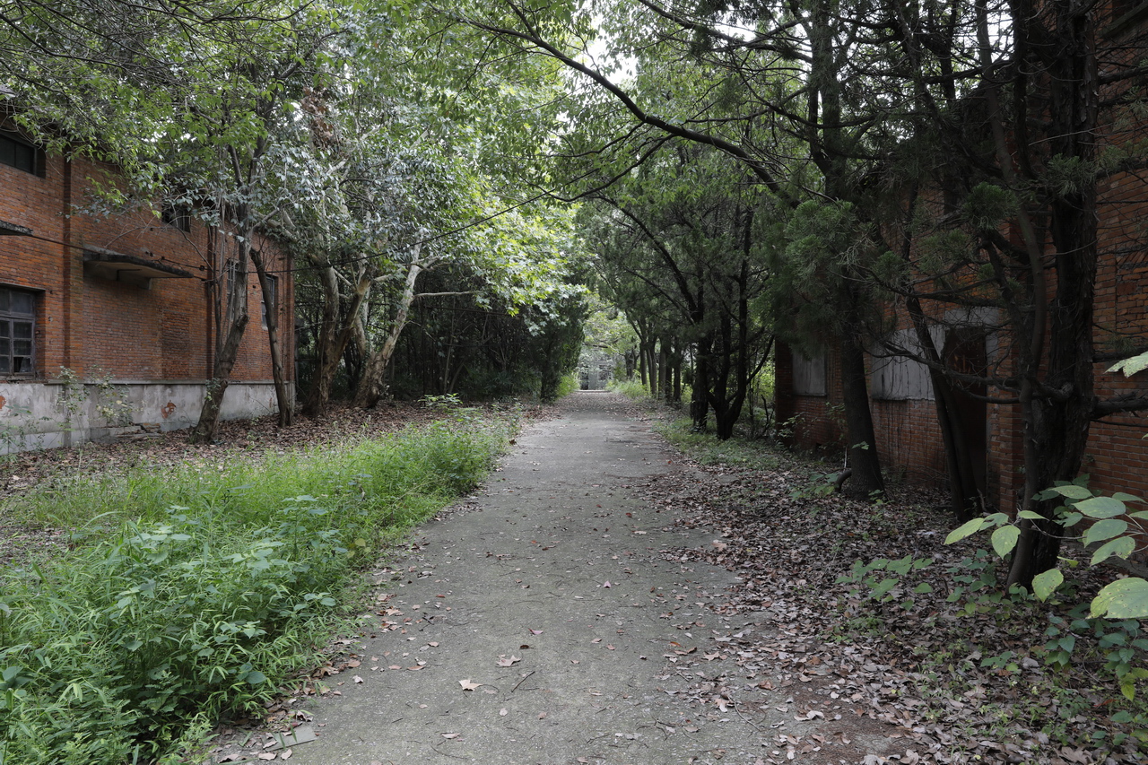 湖北武汉东西湖雪花啤酒,武汉东西湖华润雪花啤酒厂怎么样