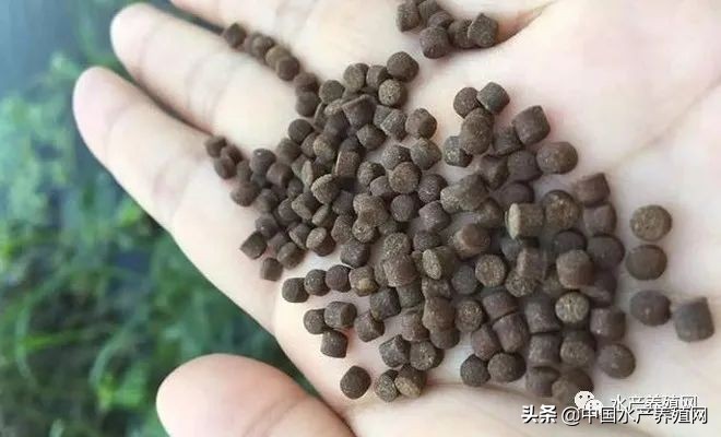 饲料乱象,饲料行业乱象