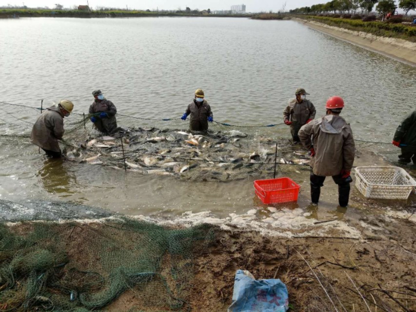 最先发现疫情的地方,什么地方是最早发现疫情的