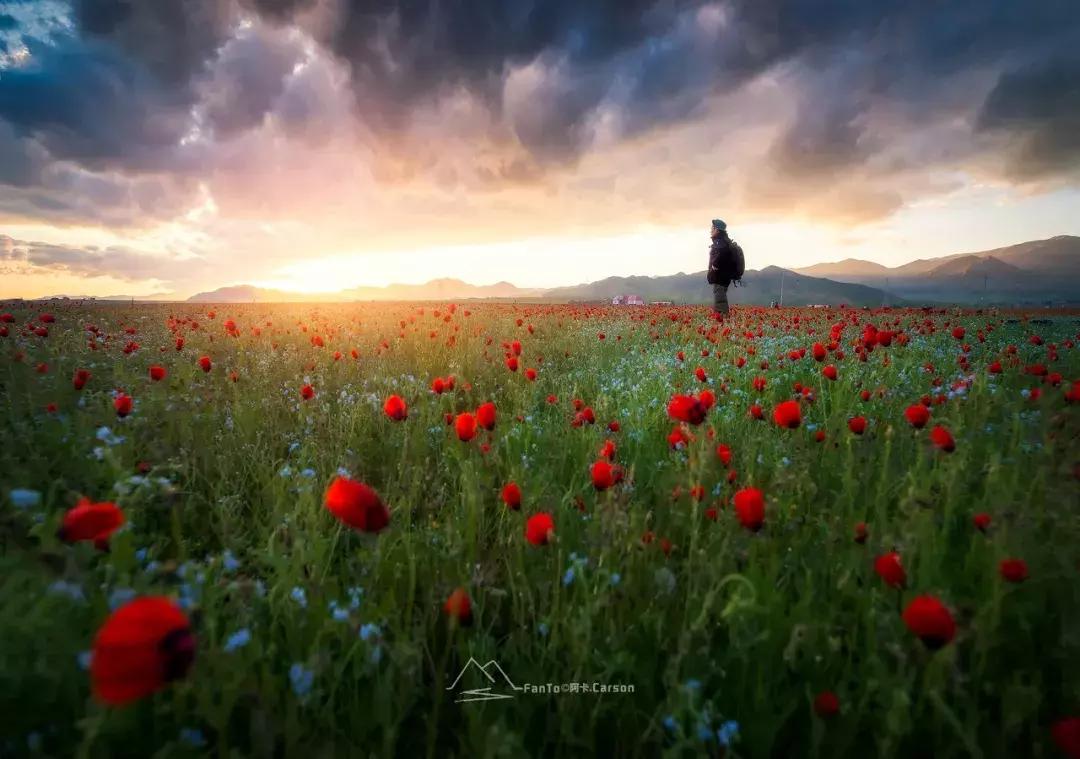 新疆的天堂在哪,新疆人间天堂在哪