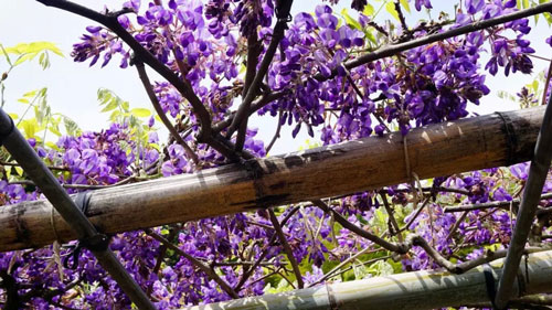 去日本福冈旅游攻略自由行,日本福冈最全旅游攻略