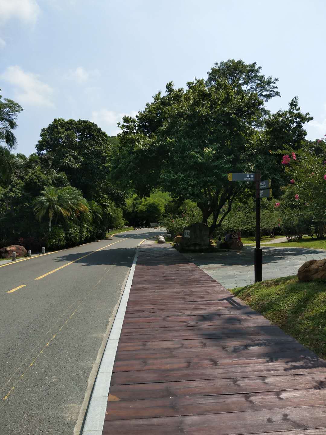 仙湖植物园游玩攻略在哪里看到,仙湖植物园游览