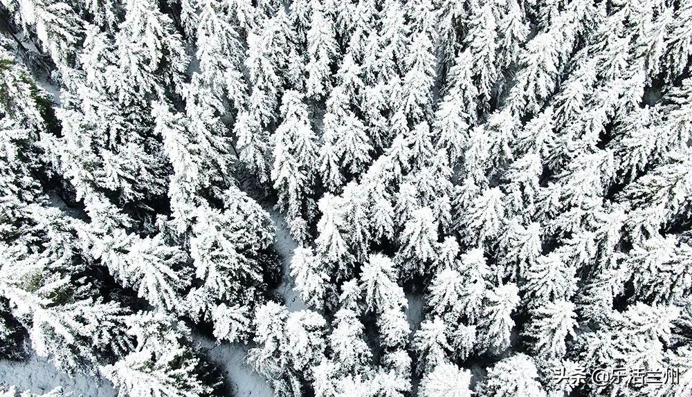 甘肃祁连山下雪,祁连山雪景壮观