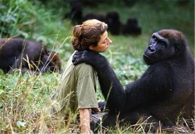 世界上第2例艾滋病治愈被确认，我们真的离攻克艾滋病不远了吗？