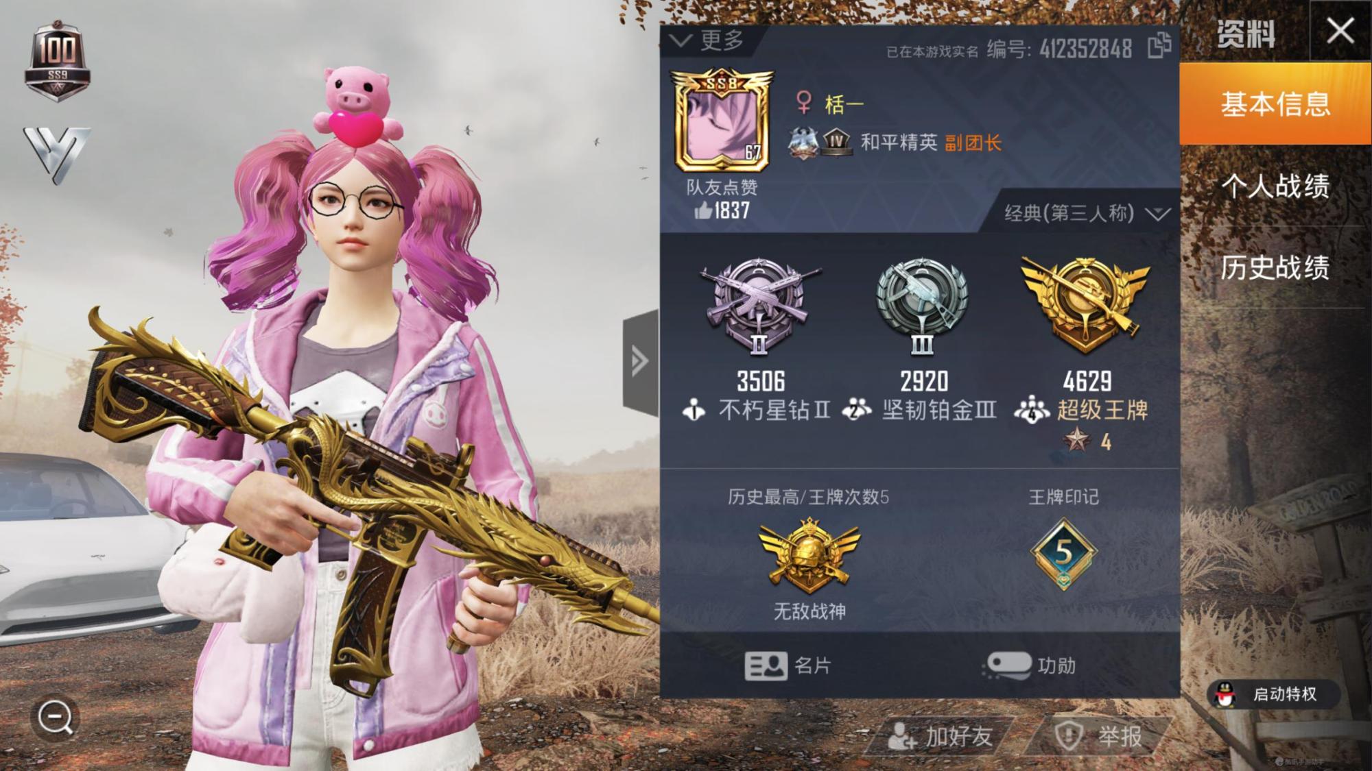 吃鸡巡查员有多让人羡慕,吃鸡战绩一张图