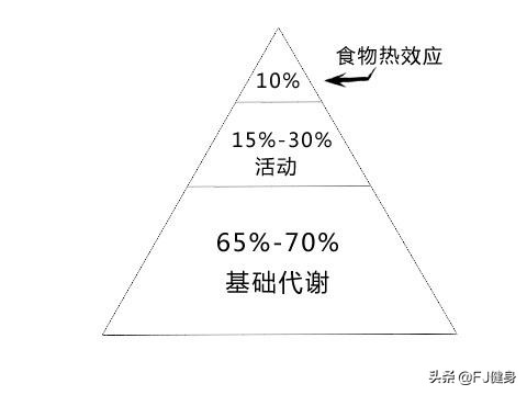 节食减肥遇到平台期怎么办,运动减肥遇到平台期该怎么突破它