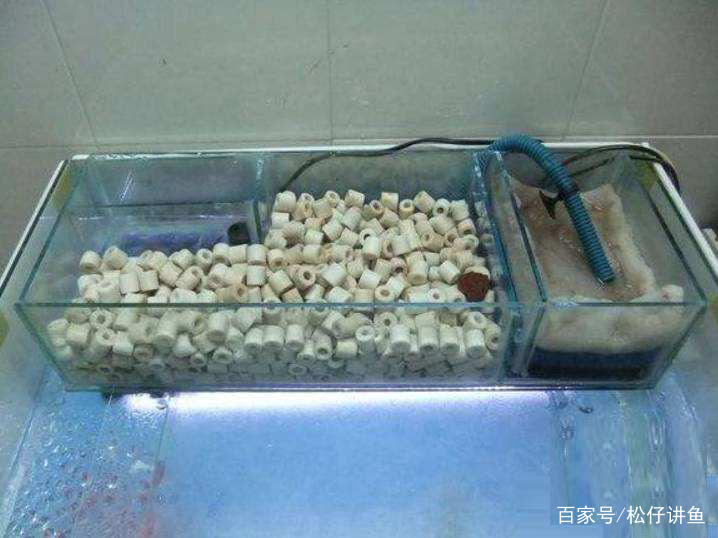 鱼缸更换过滤系统注意事项,鱼缸过滤什么方法最好呢