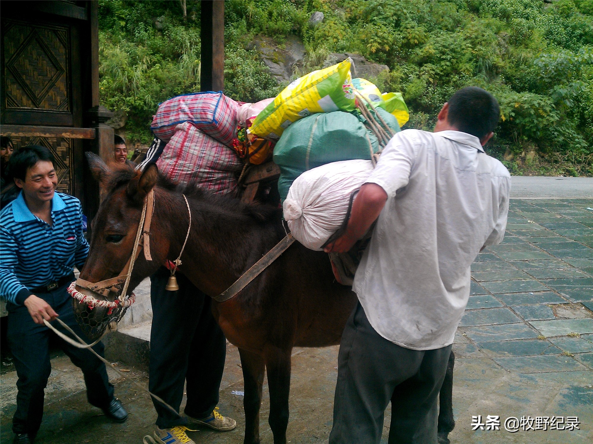 三江并流旅游攻略,怒江三江并流现场