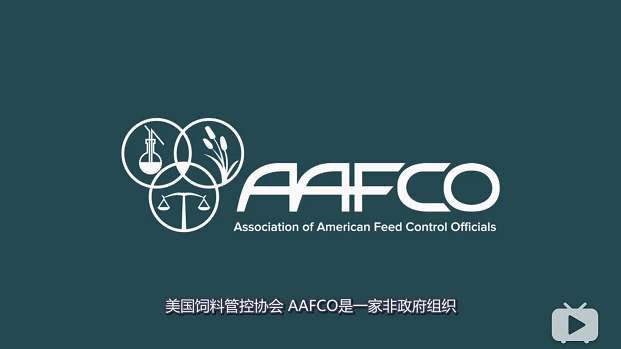 为什么要给猫吃蛋黄,为什么要给猫吃冻肉