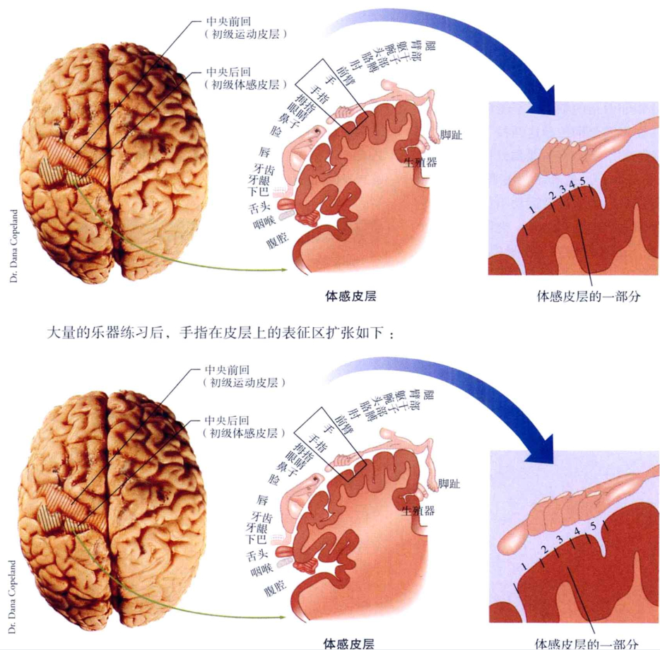 心理学的生物学基础知识,生物心理学知识书籍