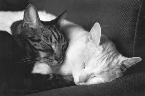 成年人之间如何交朋友,成年人交往最佳方式