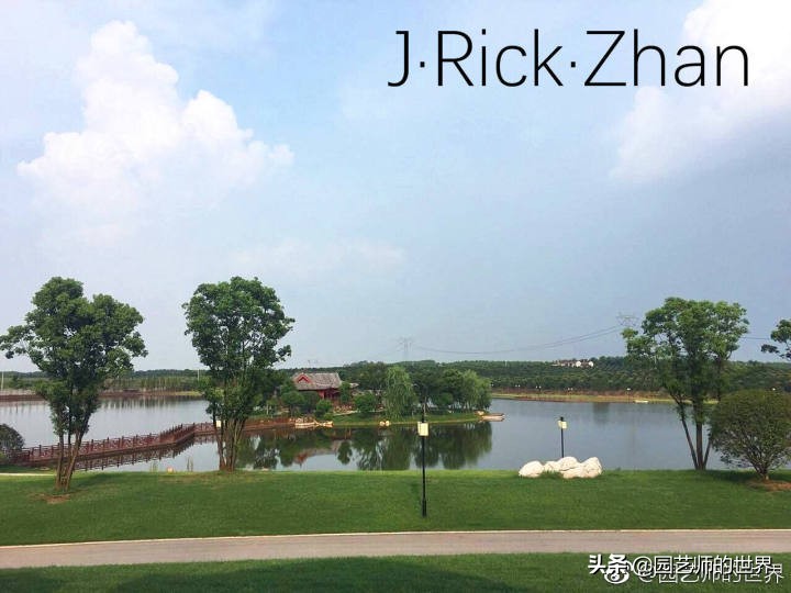 适合北方庭院种植的低矮草坪,家庭庭院怎样混搭种植草坪和蔬菜