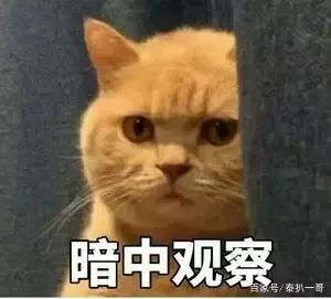 一哥专扒:RAY面膜被一哥扒的,可能连“*裤底**”都不剩!