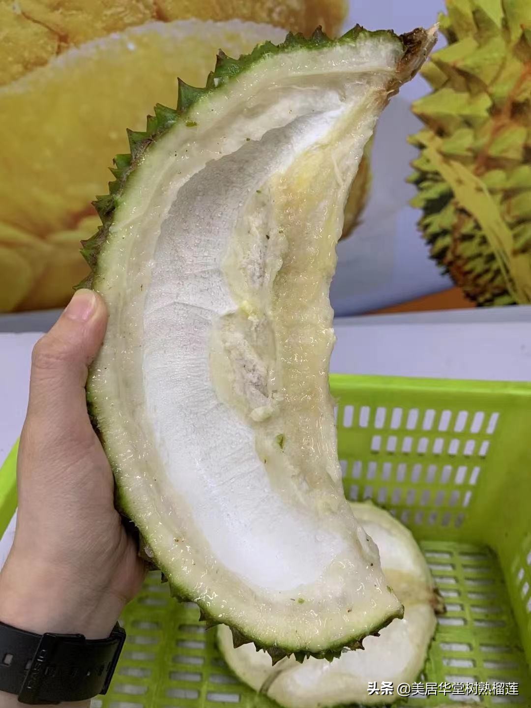 榴莲会缩水吗？亲测两天