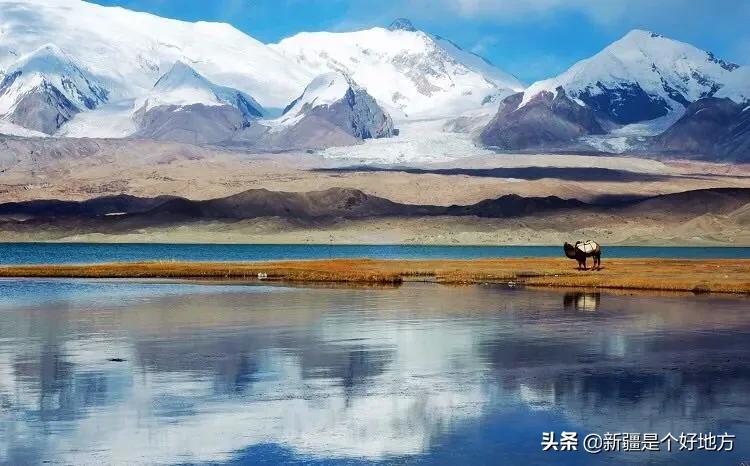 收藏!*疆新**60个“网红”打卡地都在这里