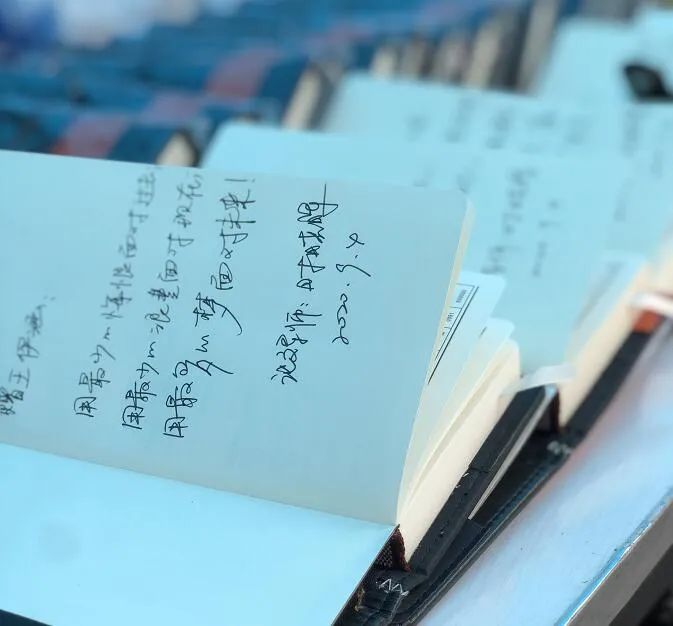 绿岛“背影”|这些瞬间，因为有你而更温暖难忘！