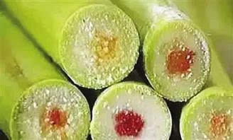 比毒蛇还毒的东西,比毒蛇还毒的生物