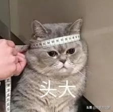 女子借用他人车辆被查证件有“猫腻”，车主本人竟浑然不知