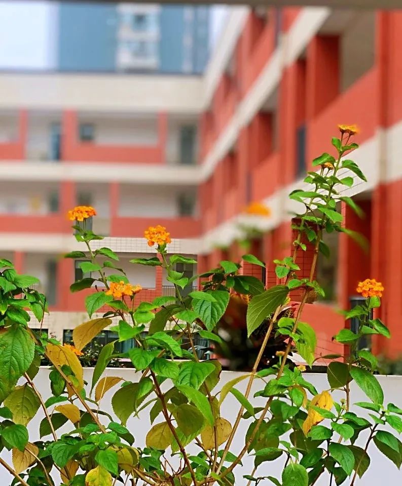 江苏省南京市南师附中邺城路初中,南师附中邺城路小学是事业单位吗