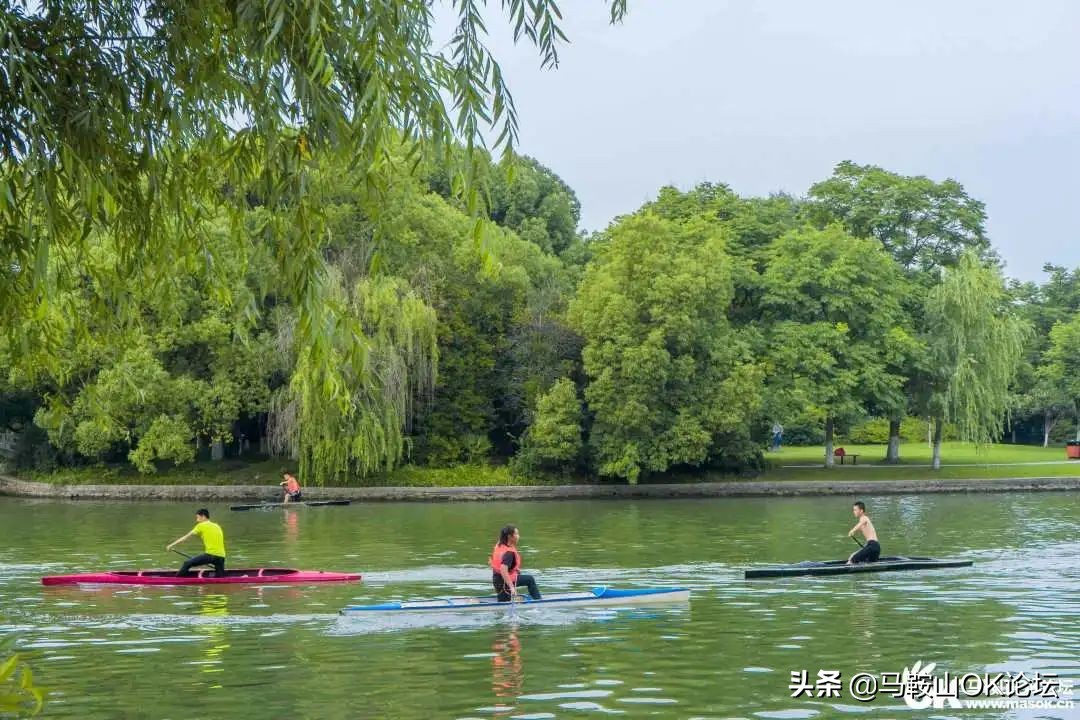 唰，就绿了！马鞍山夏天的n+1种样子