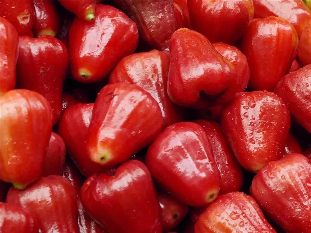 值得带回家的海南特产,带你分享海南特产海鲜