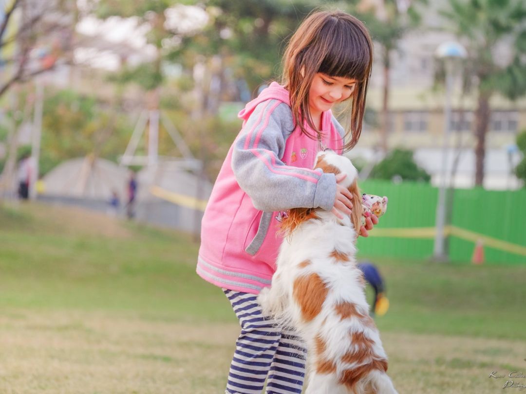 发现孩子偷我的钱,发现小孩偷了我的钱怎么办
