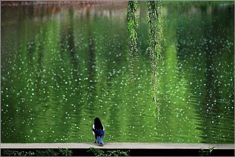 老公感情寡淡怎么办,老公人情淡薄怎么规劝