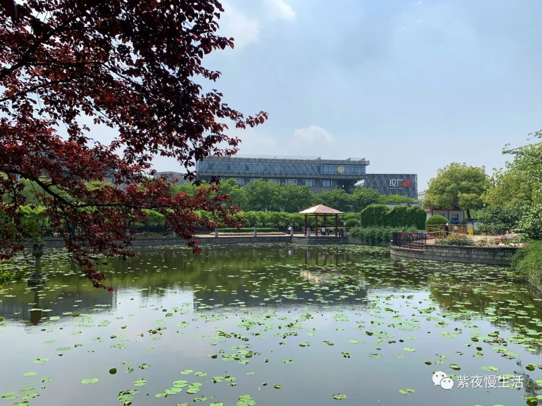 慢生活惬意悠闲,悠闲惬意上海