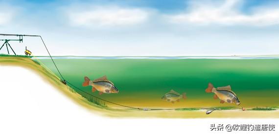 铅坠会吓鱼吗,铅坠晃动真能惊吓鱼儿吗