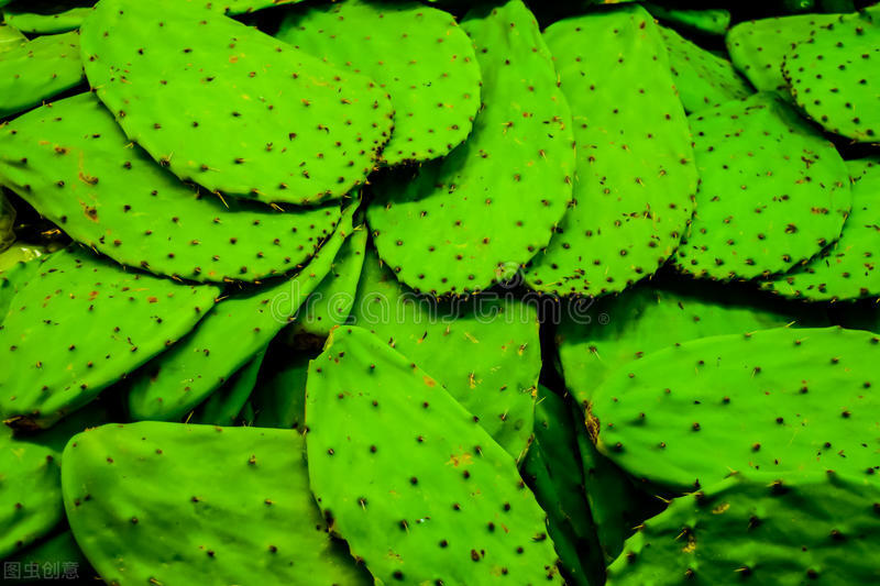 墨西哥首都墨西哥城安全吗,带你领略墨西哥城