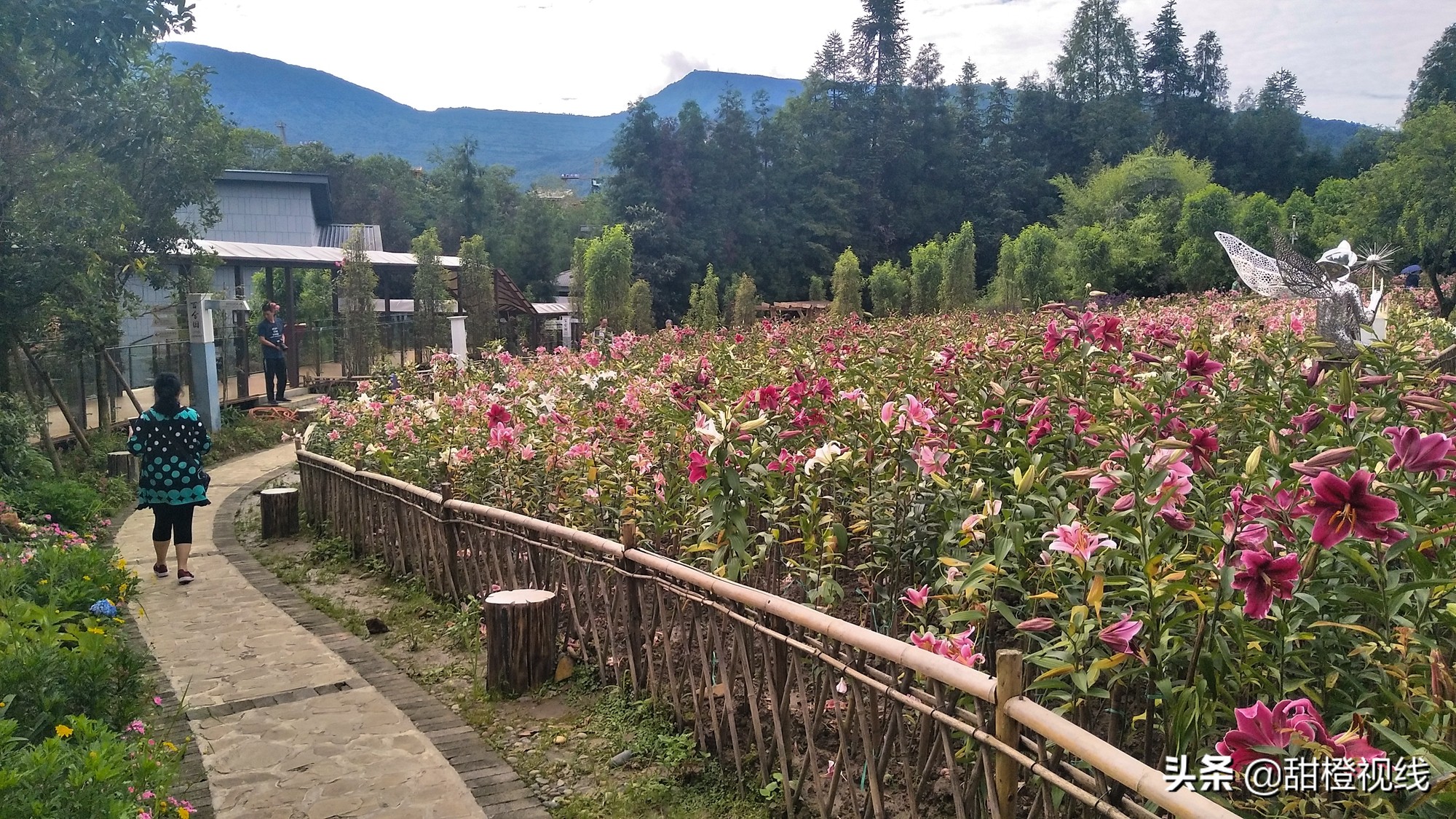 峨眉山七里坪周边有什么景点,峨眉半山七里坪网红打卡地