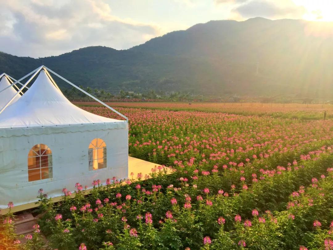 晚上的海棠湾,海棠湾真的很美
