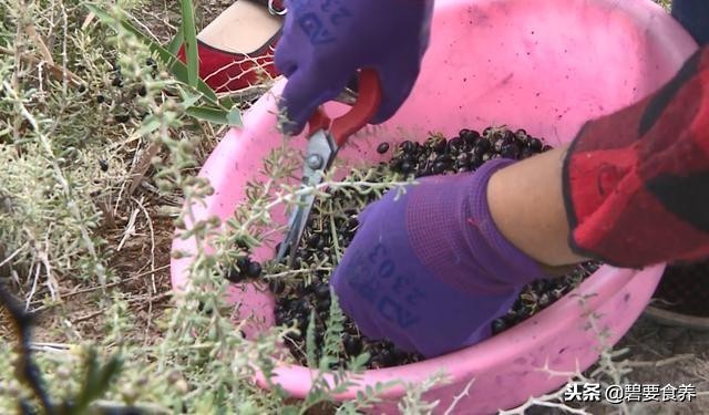 真正好的黑枸杞多少钱一斤,最好的黑枸杞多少钱一斤