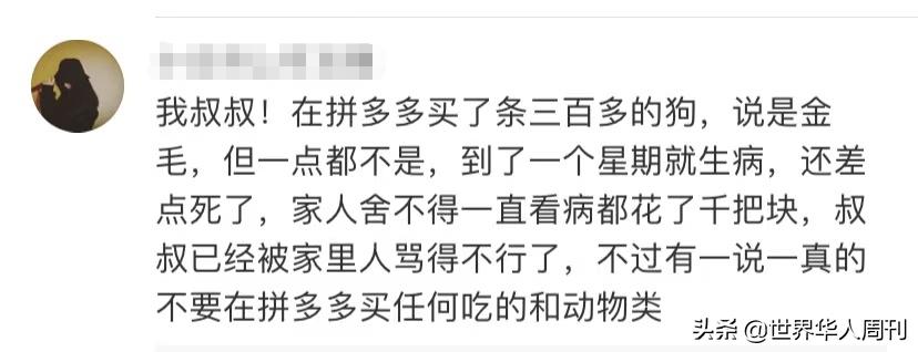 宠物生命当“惊喜”：鲜血淋漓的活体盲盒，成了当代年轻人的新宠