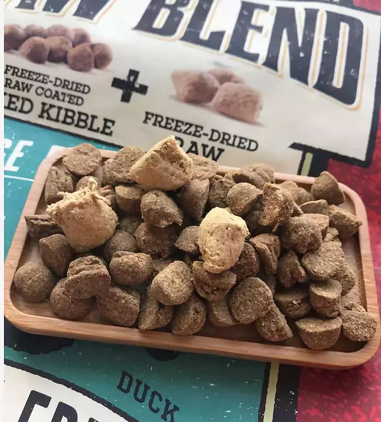 家有狗子,家有狗子视频完整版