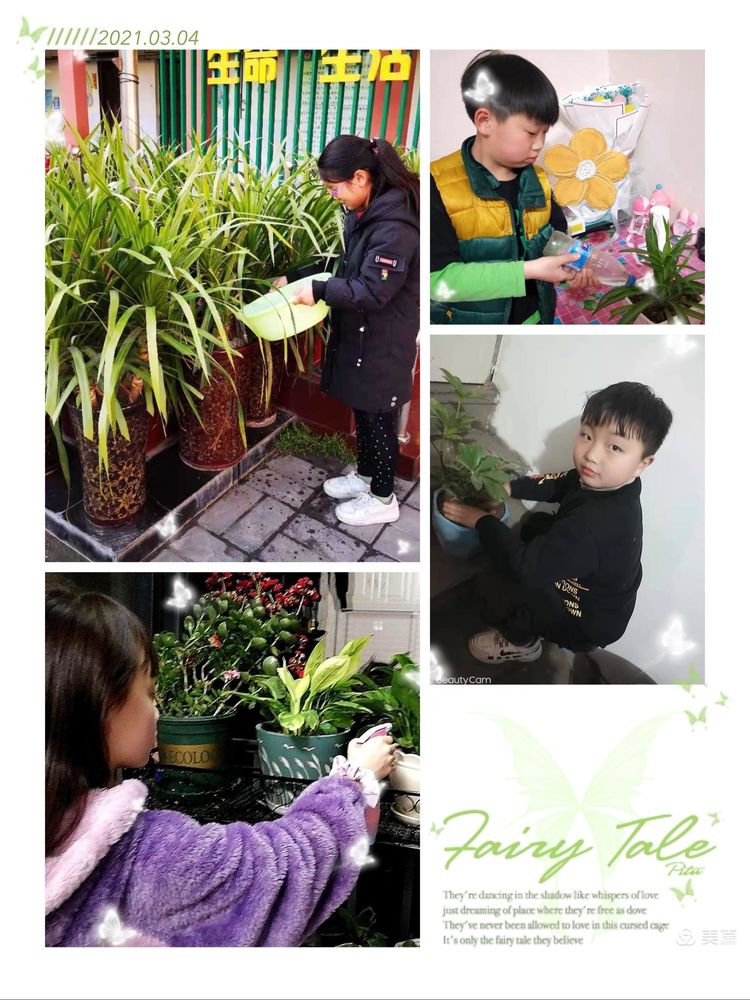 植树节拥抱春天播种绿色放飞希望,2022年植树节主题拥抱春天