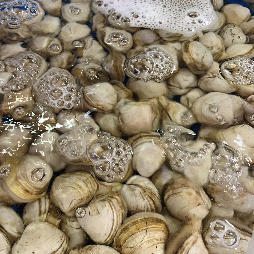 鞍山海鲜烧烤,鞍山最大大排档