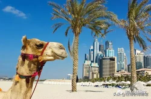 迪拜的历史起源,迪拜的前身