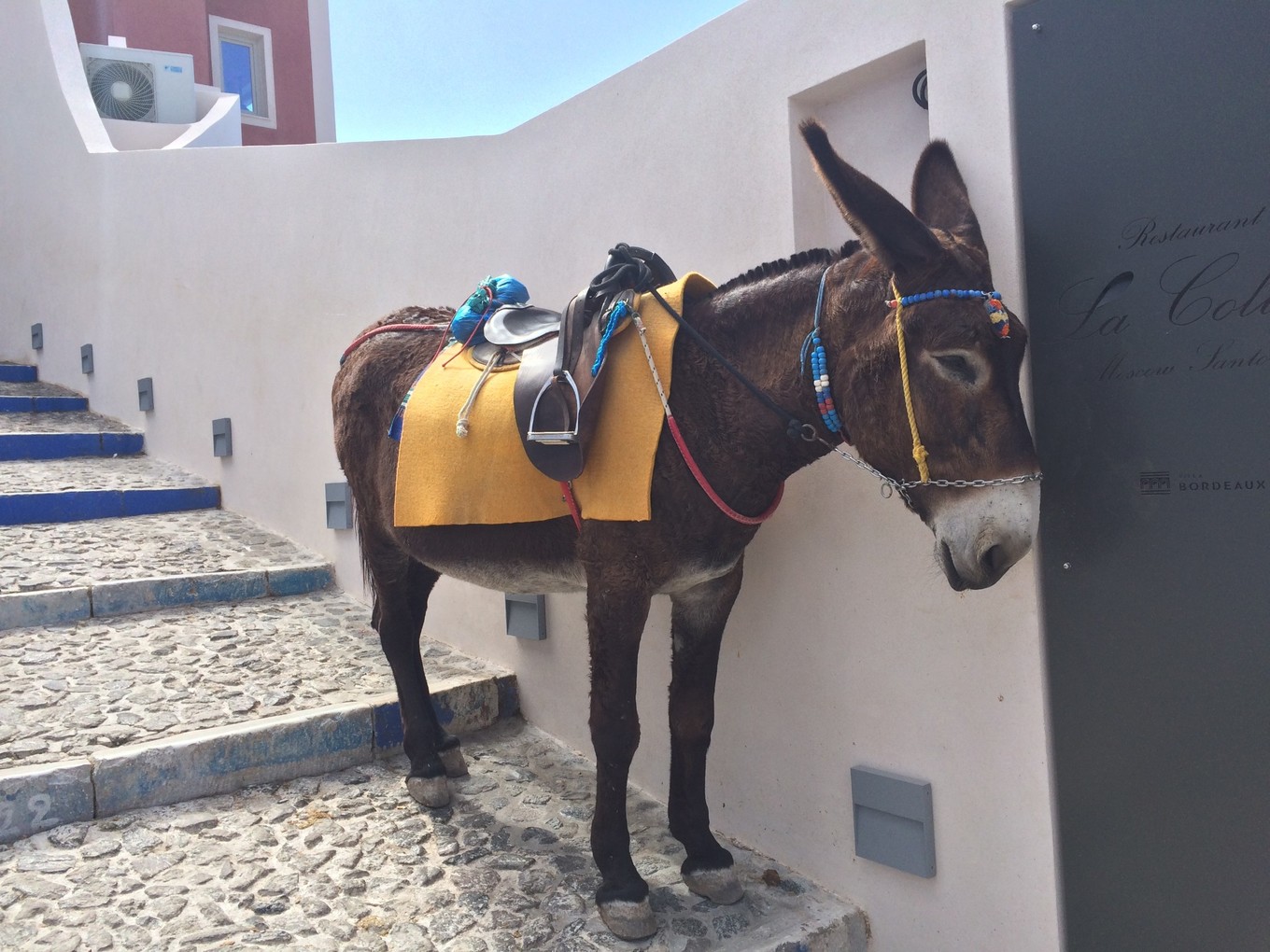 希腊圣托里尼一年四季,希腊圣托里尼岛介绍