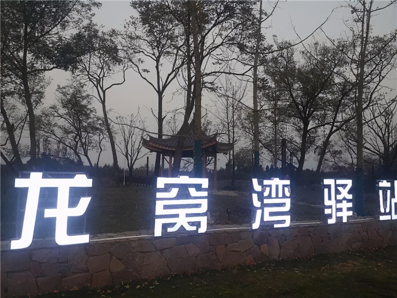 藏不住了这片樱花林免门票免预约,藏不住的傅先生