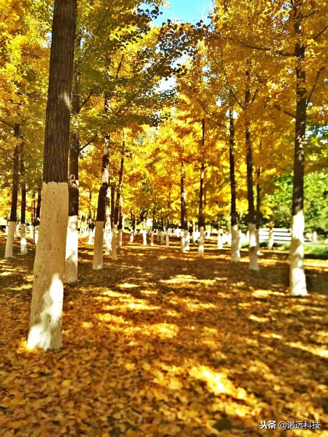 苦行僧般的自律才有所谓的优秀,所有优秀的背后都是苦行僧的自律