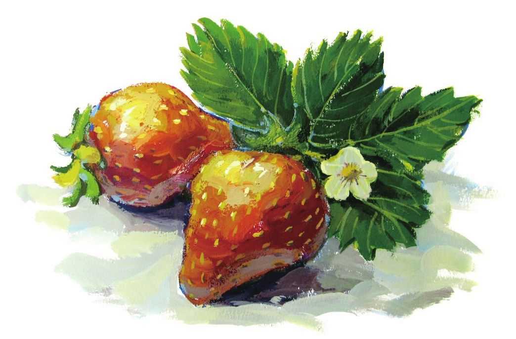 草莓怎么画最难的画法,教你画草莓国画